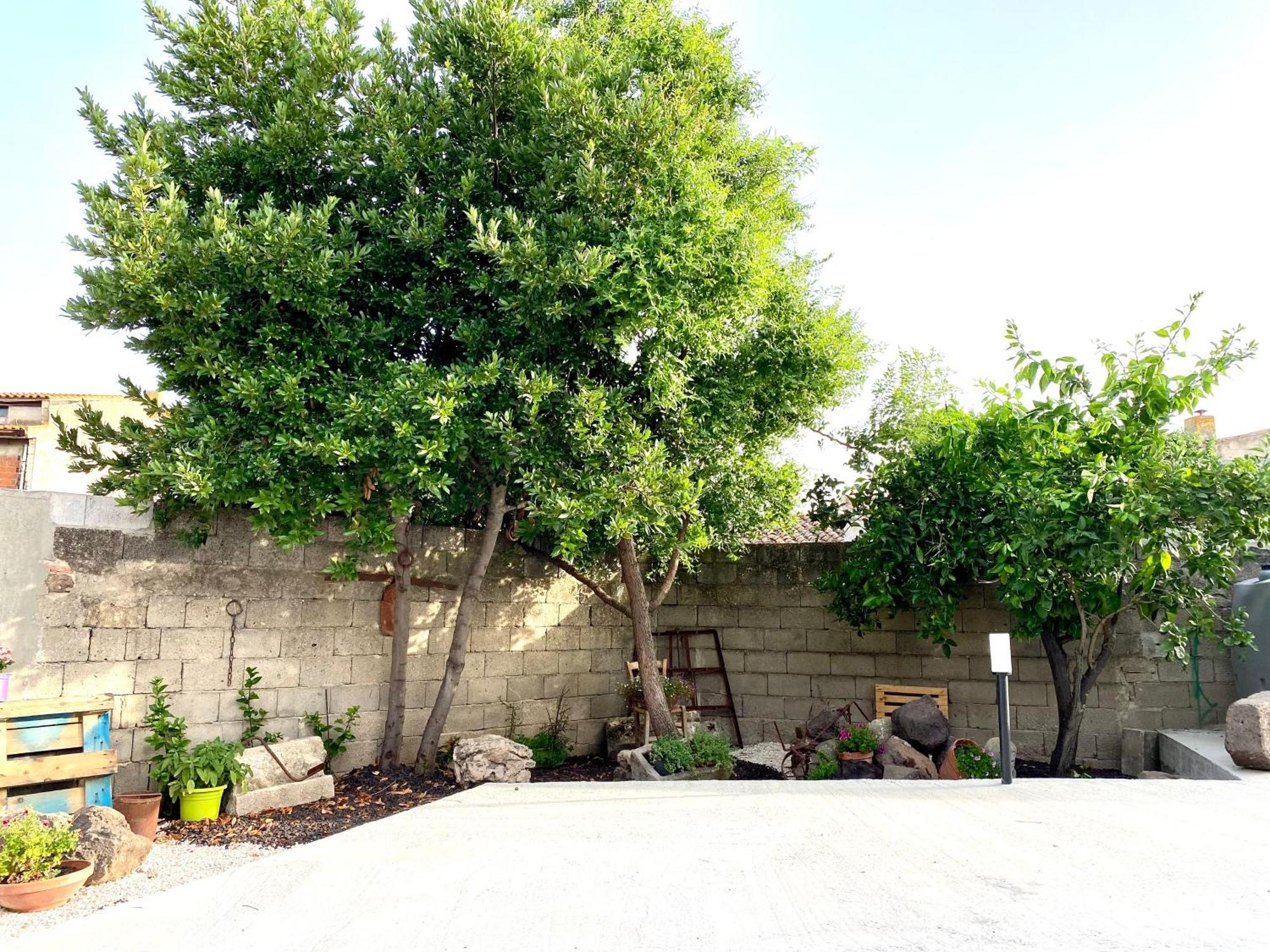 Appartamento Casa Meli San Vero Milis Esterno foto